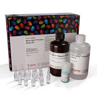 Thermo Scientific Pierce Micro BCA Protein Assay Kit...