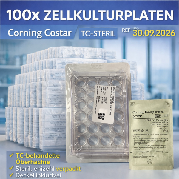 100x Corning Costar 24 Well Cell Culture Plate TC-treated Sterile 3526